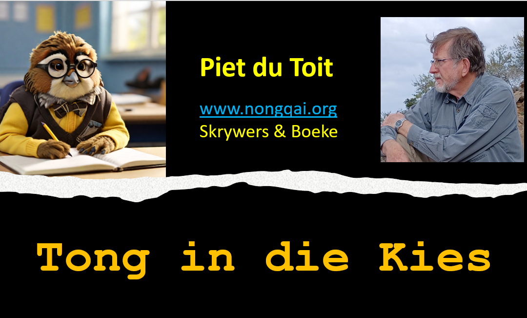 Skrywers se Dinge – Piet du Toit