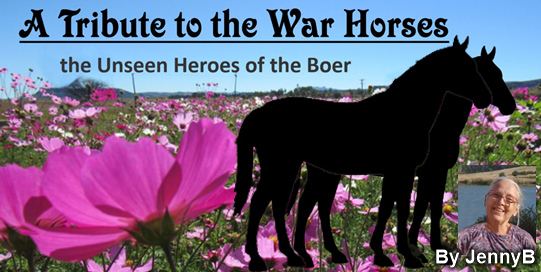 Horses: ABW – Nongqai Vol 17 No 6