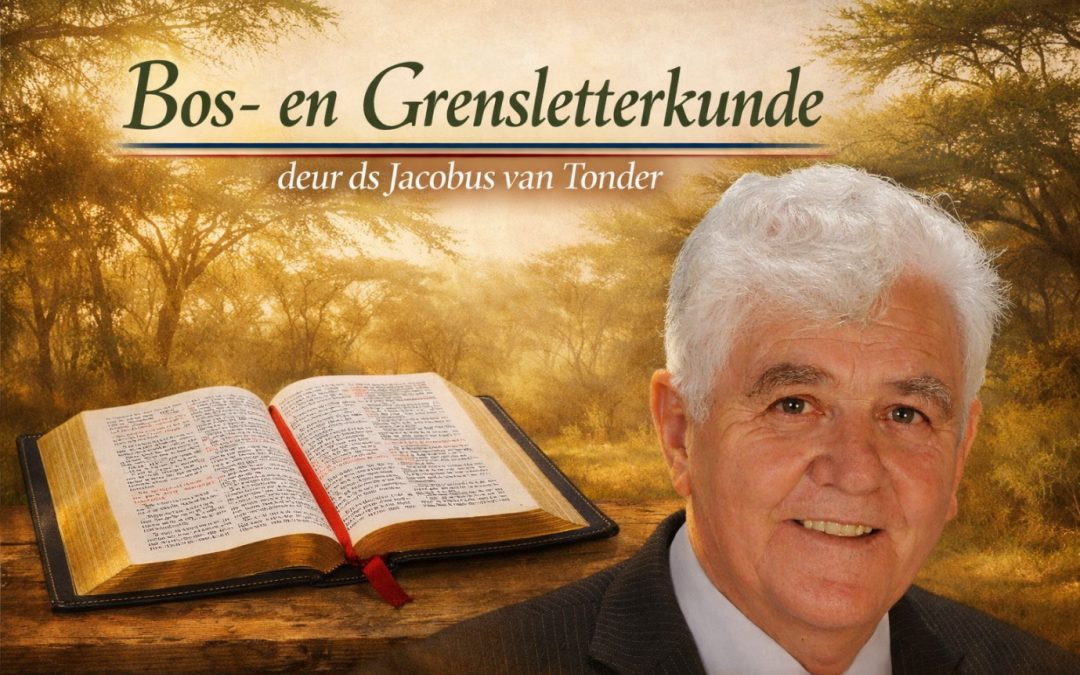 Bos- en Grensletterkunde – Nongqai Vol 17 No 7